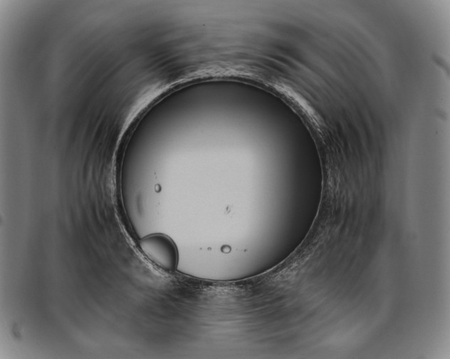 X0000096670894200802191327