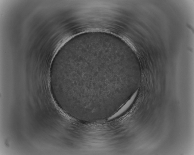 X0000096670895200802191327