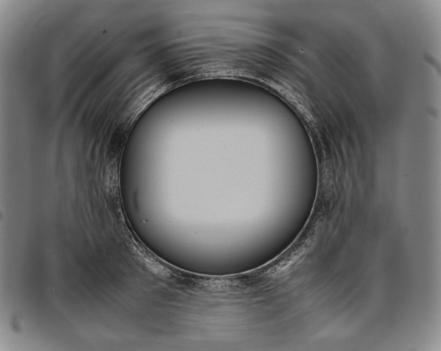 X0000096670897200802191327
