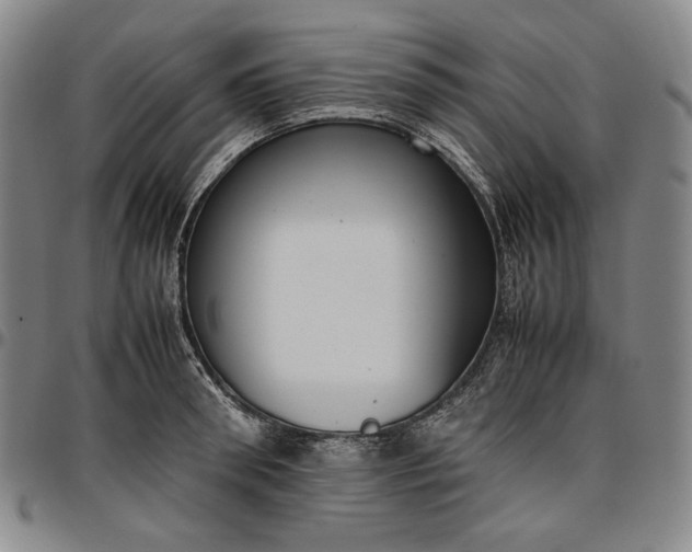 X0000096670898200802191327