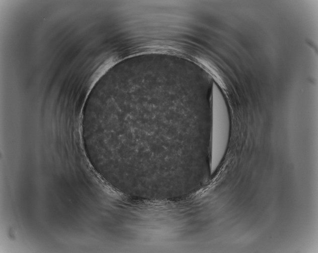 X0000096670899200802191327