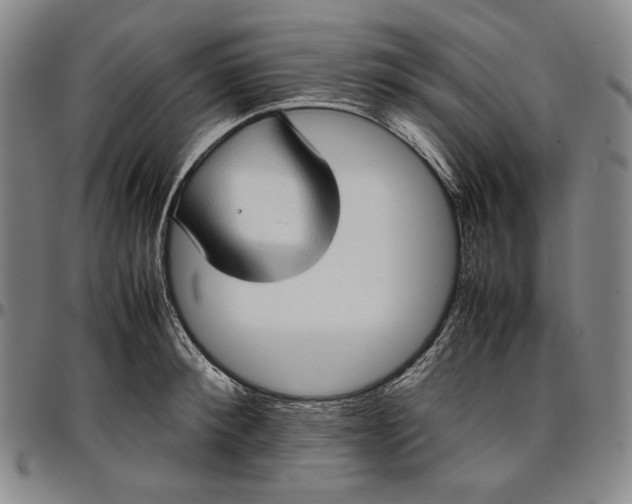 X0000096670900200802191327