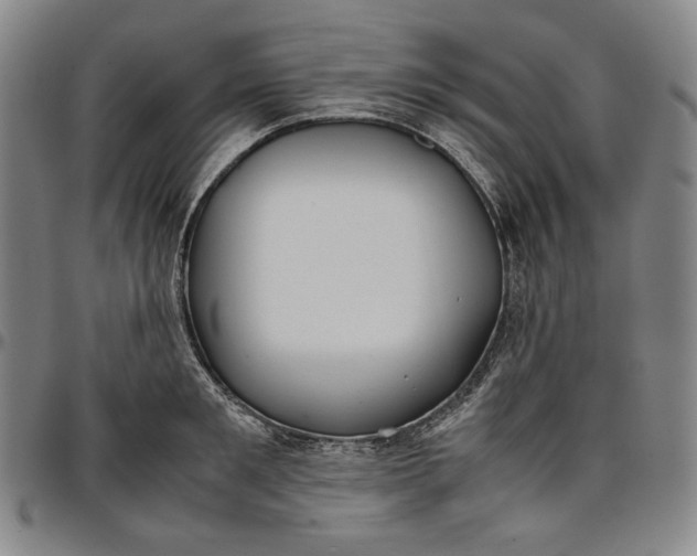 X0000096670901200802191327
