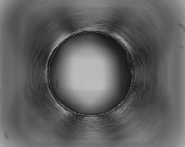X0000096670902200802191327