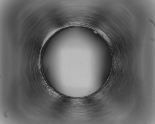 X0000096670904200802191327