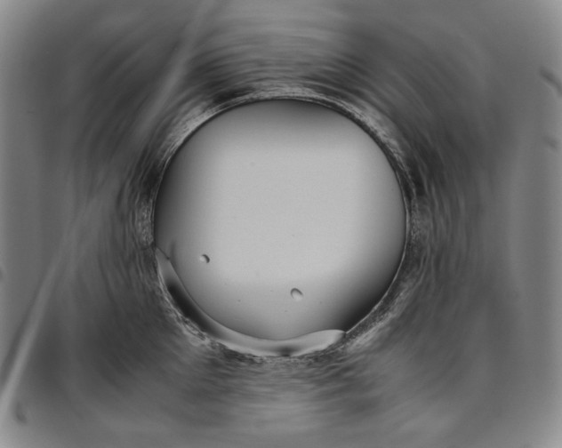 X0000096670905200802191327