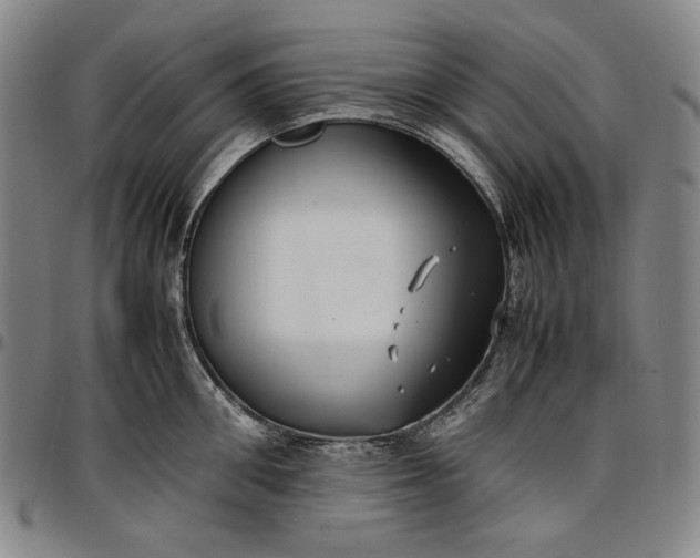 X0000096670906200802191327