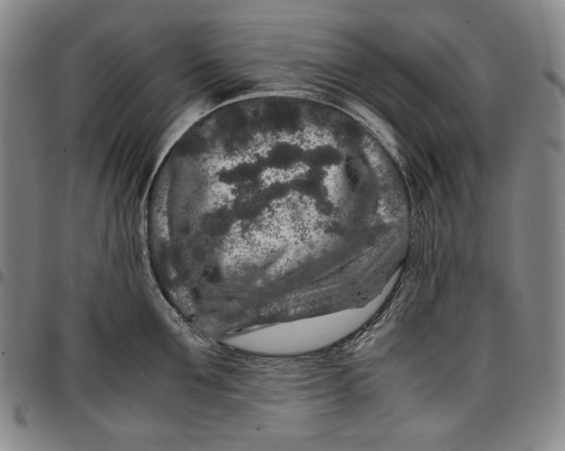 X0000096670907200802191327