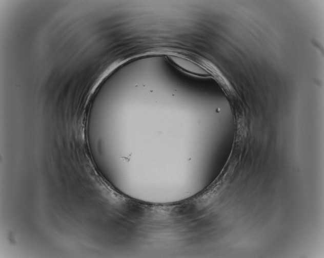 X0000096670908200802191327