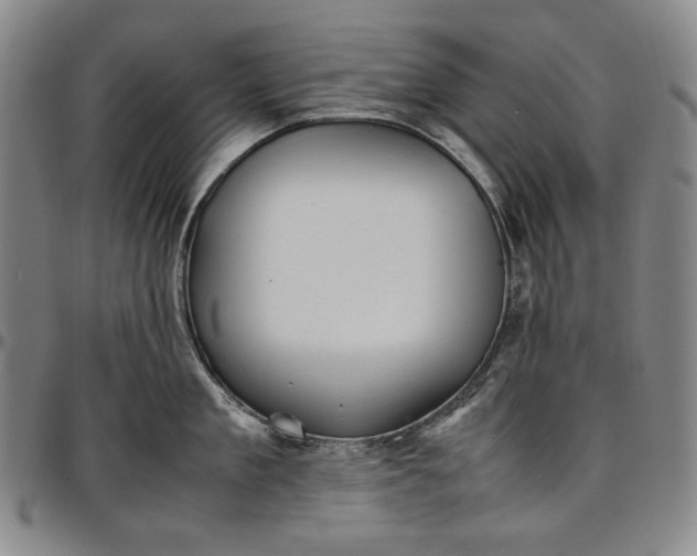 X0000096670909200802191327