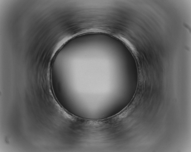 X0000096670910200802191327