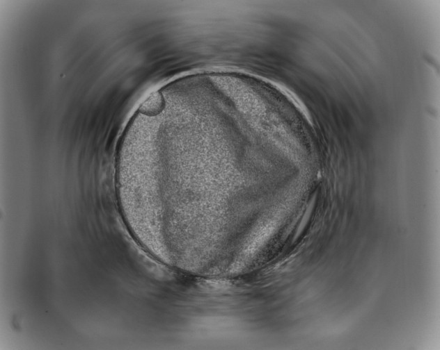 X0000096670911200802191327