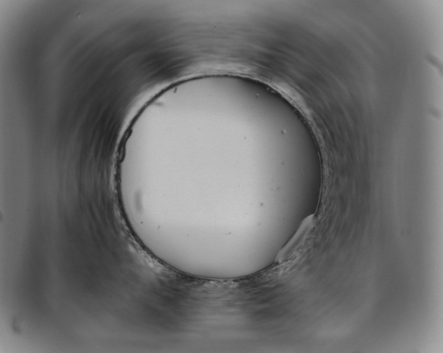X0000096670912200802191327