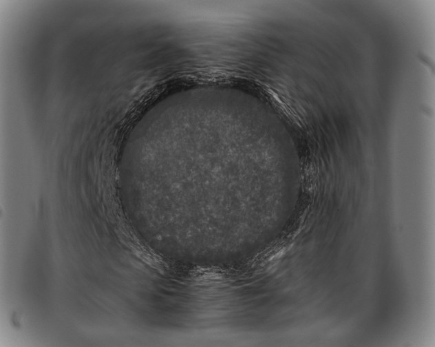 X0000096670913200802191326
