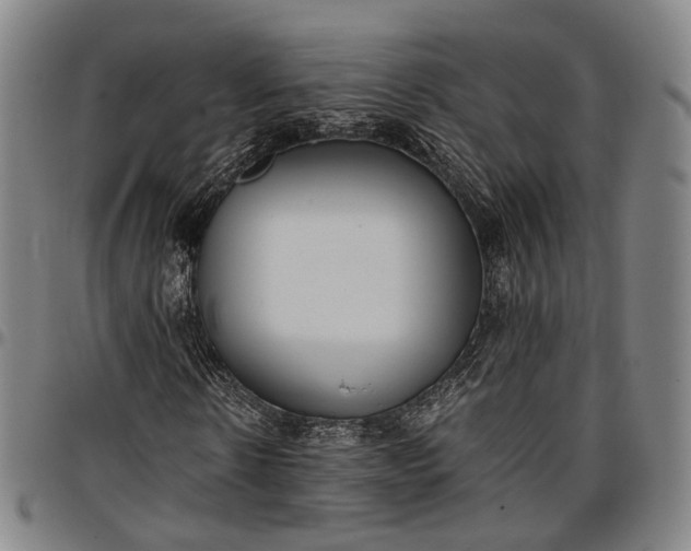 X0000096670914200802191326