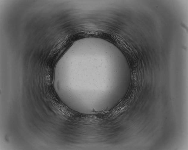 X0000096670916200802191326