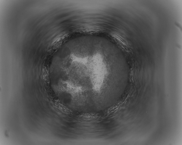 X0000096670917200802191326