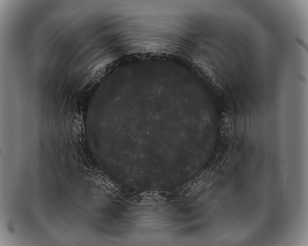 X0000096670918200802191326