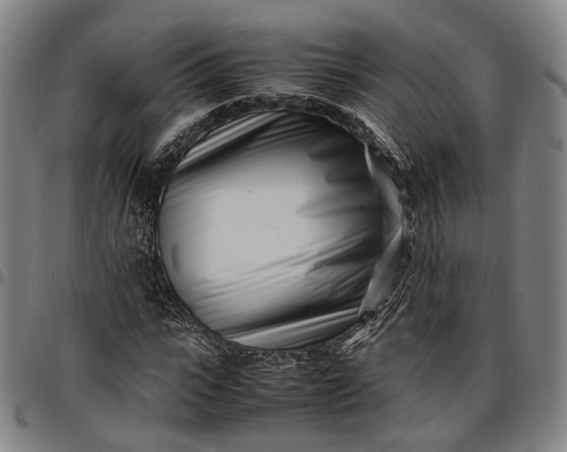 X0000096670919200802191326