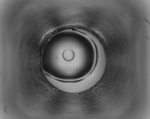 X0000096670920200802191326