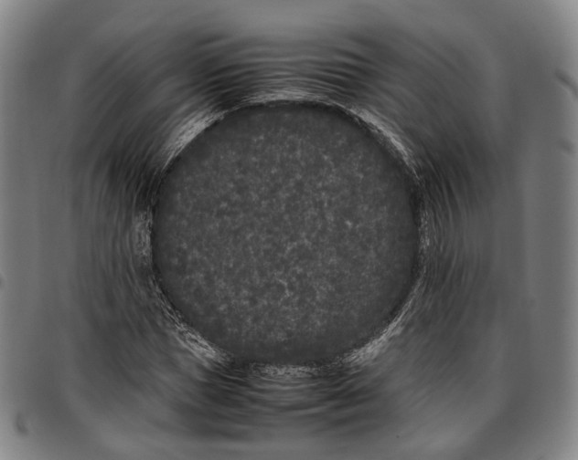 X0000096670921200802191326