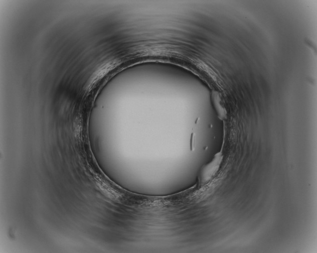 X0000096670922200802191326