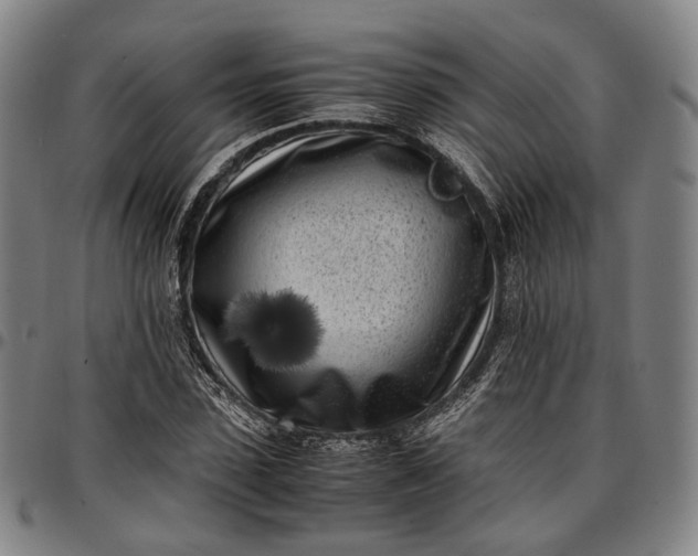 X0000096670923200802191326