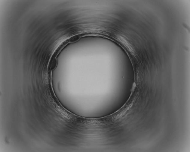X0000096670924200802191326