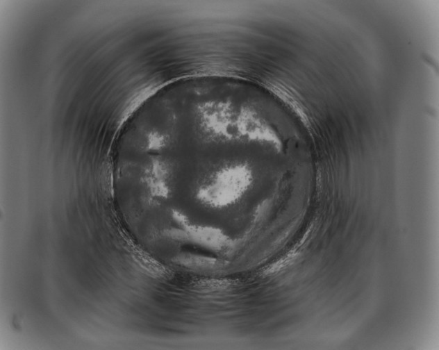 X0000096670925200802191326