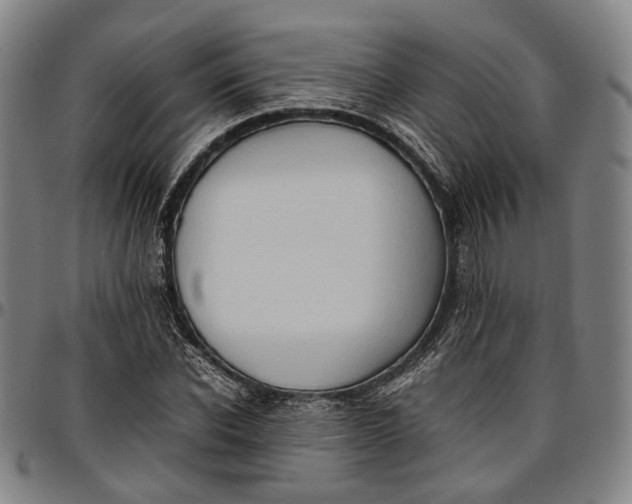 X0000096670926200802191326
