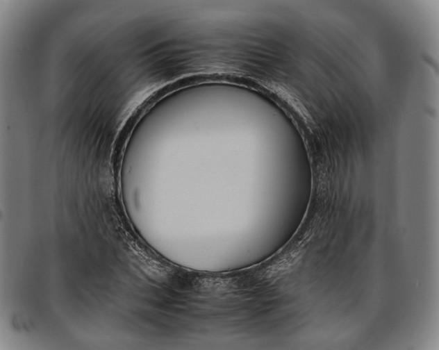 X0000096670927200802191326