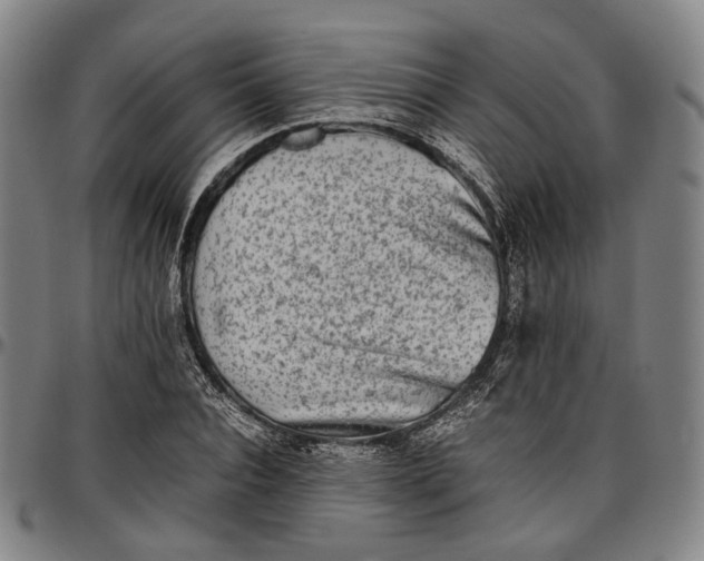 X0000096670928200802191326