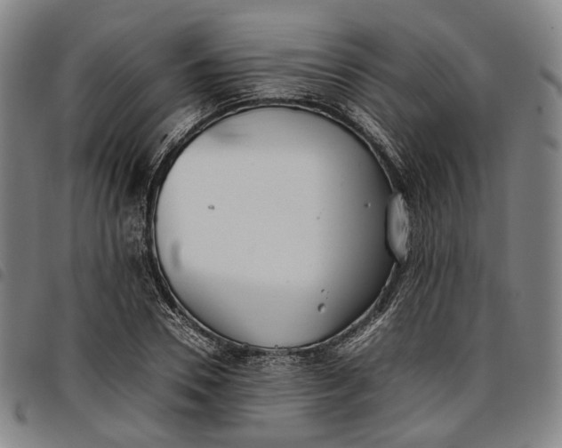 X0000096670930200802191326