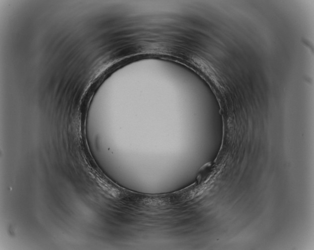 X0000096670931200802191326