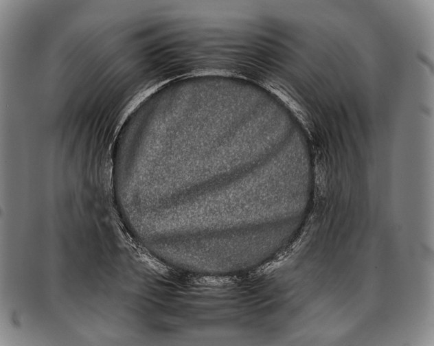 X0000096670933200802191326