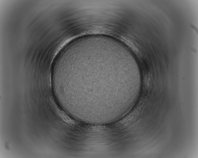 X0000096670934200802191326