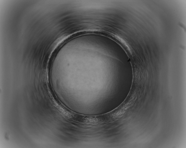 X0000096670935200802191326
