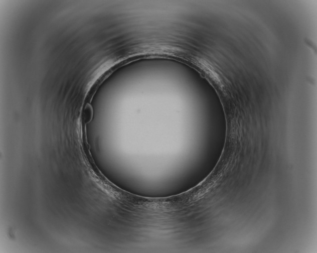 X0000096670936200802191326