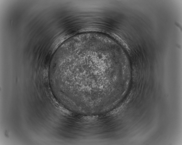X0000096670937200802191326