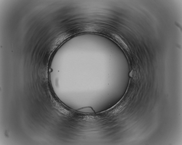 X0000096670938200802191326