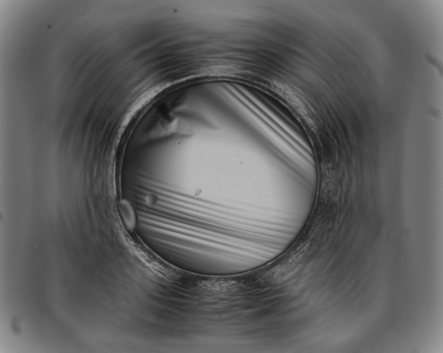X0000096670939200802191326
