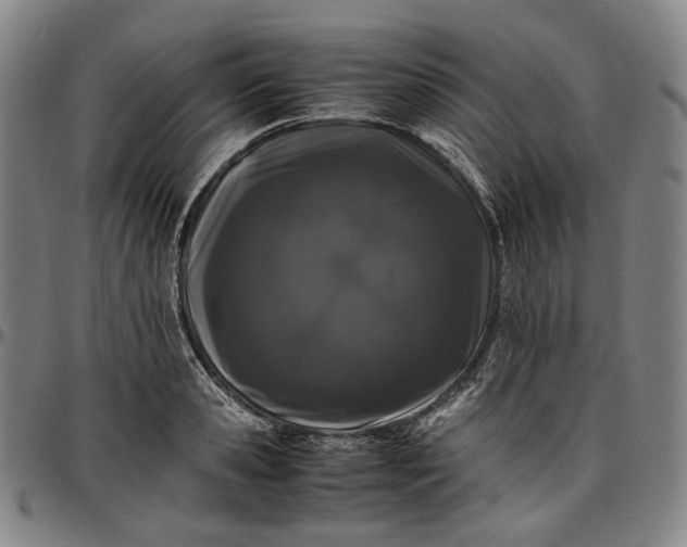 X0000096670941200802191326