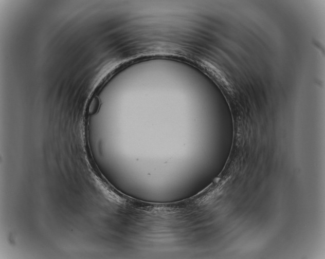 X0000096670942200802191326