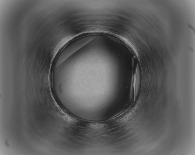 X0000096670943200802191326