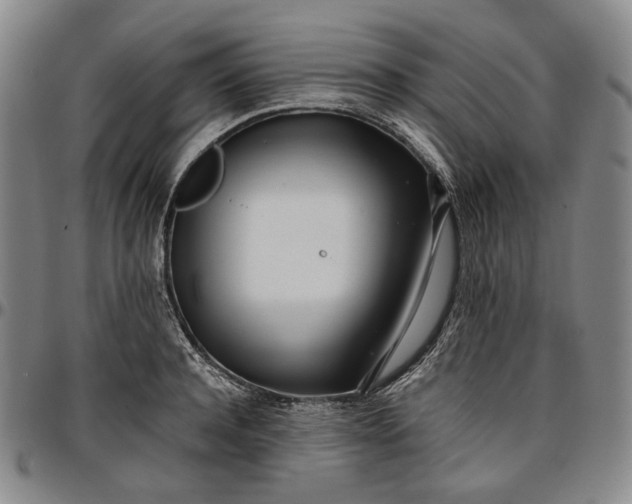X0000096670944200802191326