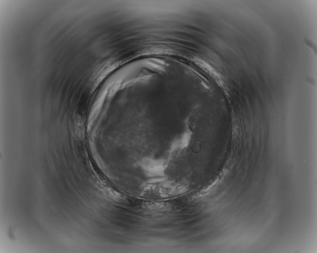 X0000096670945200802191326