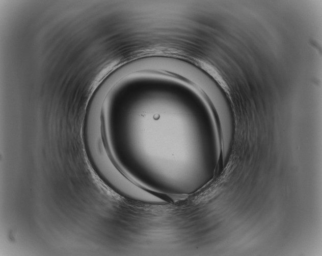 X0000096670946200802191326