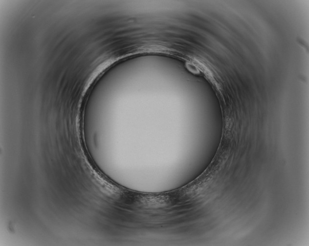 X0000096670947200802191326