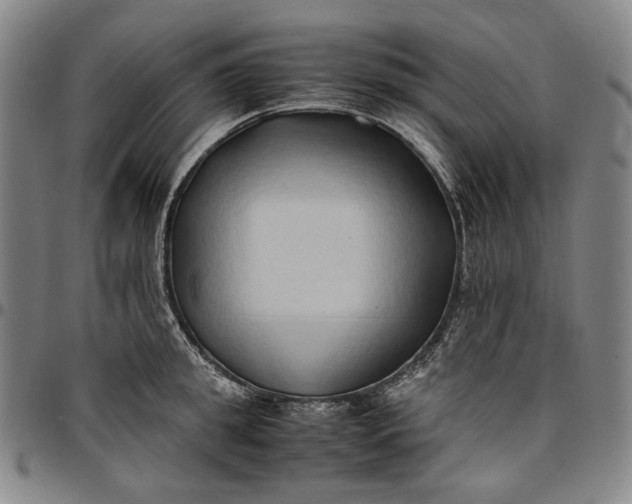 X0000096670949200802191326