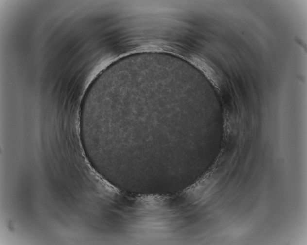 X0000096670950200802191326